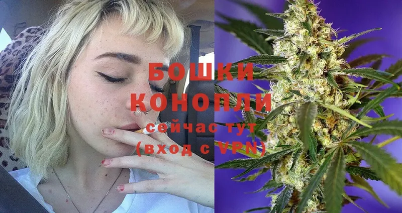 Бошки Шишки THC 21%  Невьянск 